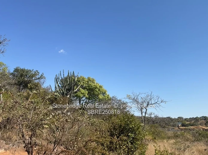 3.5 Acre Land in Burnside For Sale