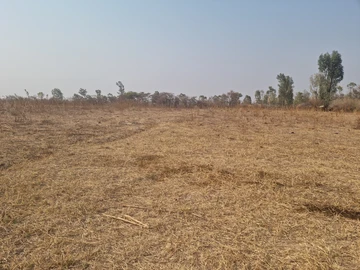 Farm & Agricultural Land