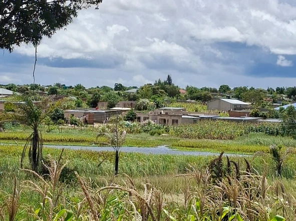 Farm & Agricultural Land