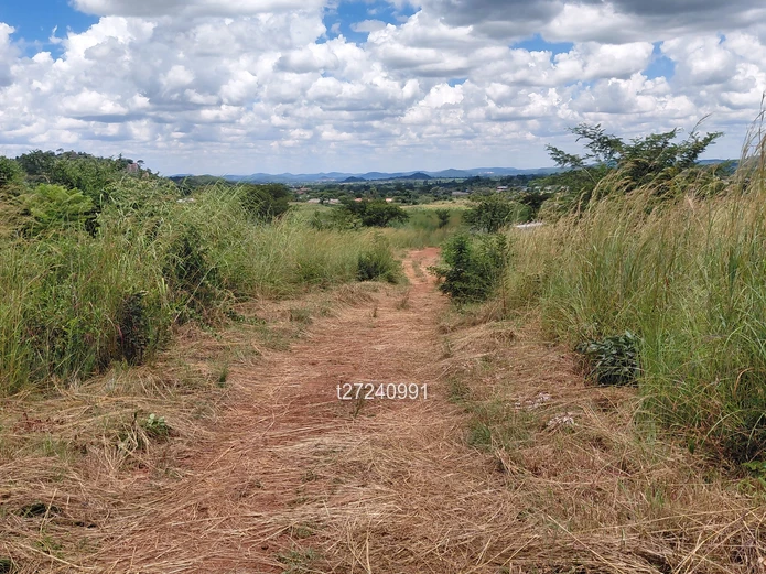 Borrowdale Crowhill Stand 