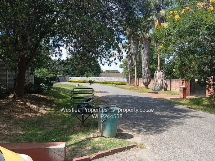 Grab this massive gem