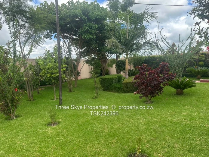 Very Neat And Modern House