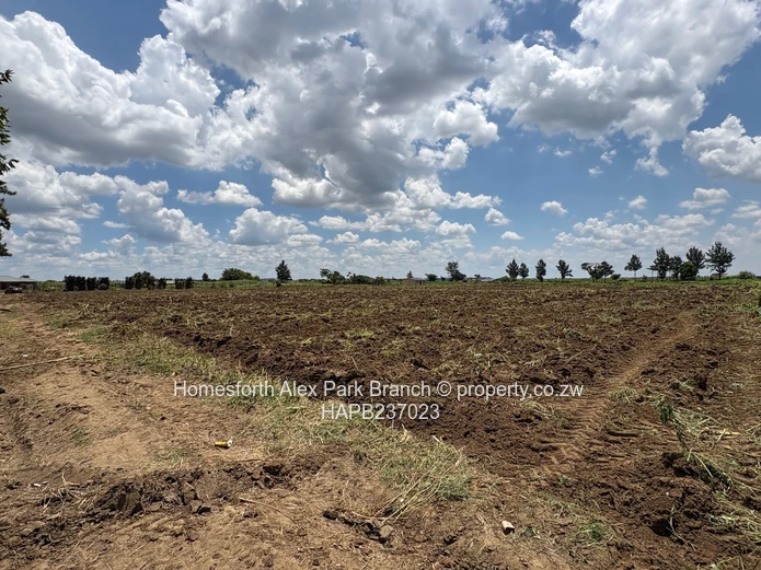 Rare Gem in Rainham Agro Plots residential