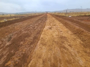 Stands & Residential Land