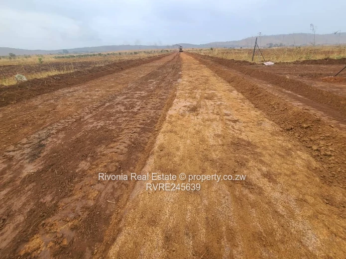 Chinhoyi Mzari stands only 1000usd deposit