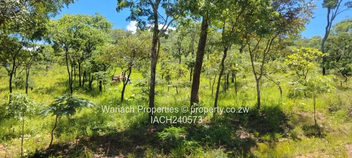 Prime residential stands now selling .Secure Your Stand Today !!!