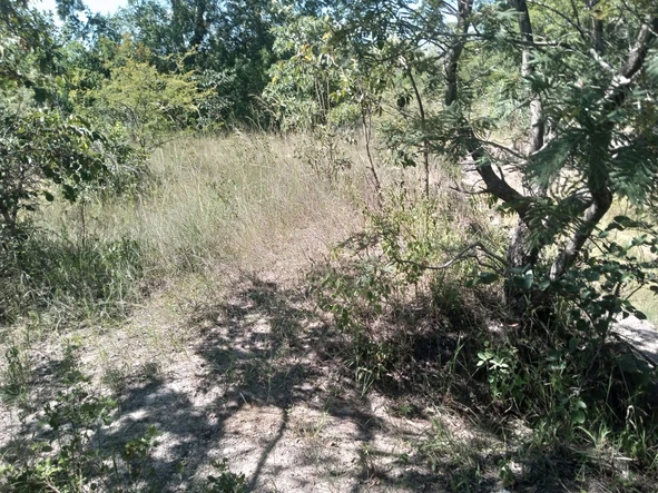 Farm & Agricultural Land