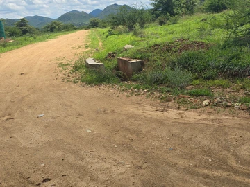 Farm & Agricultural Land