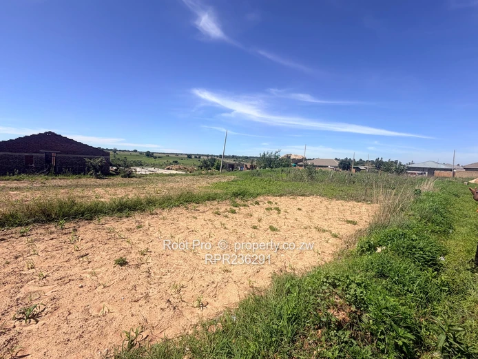 Timire Stands For sale