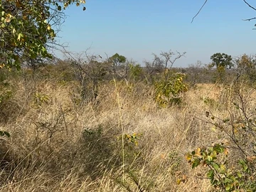 Farm & Agricultural Land
