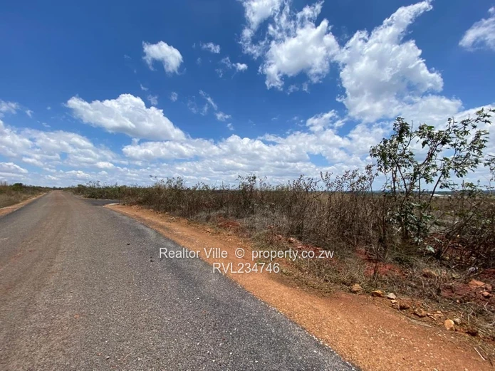 Nyeredzi Ridge Stands for Sale 