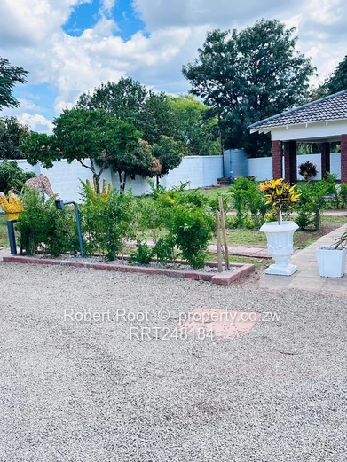 Luxury & Efficiency in Selborne Park