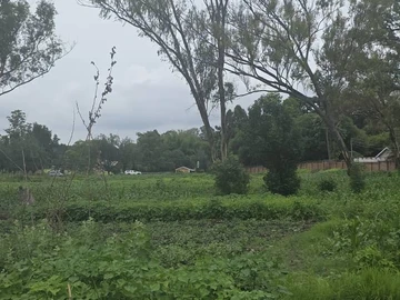 Commercial & Industrial Land