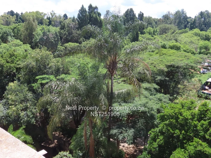 3 Bedroom Penthouse Suite - Avenues (Sole Mandate)