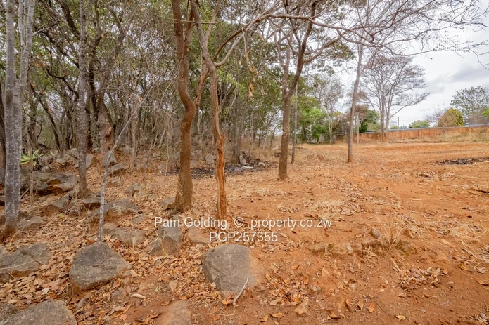 Build your Dream home – Vacant Land!
