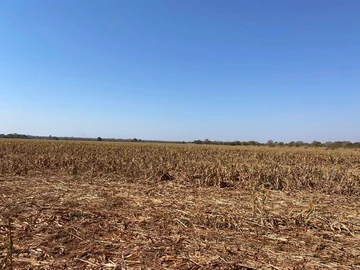 Farm & Agricultural Land