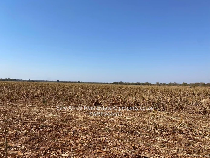 CHEGUTU 10 HECTARE AGRO- PLOTS FOR SALE Priced at $75k