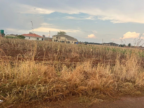 Stands & Residential Land