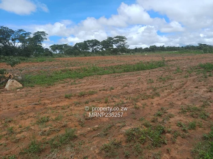 Headlands EagleNest Plot for sale (Sole Mandate)