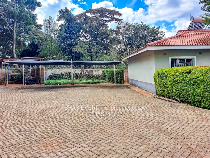 Two Bedroomed Garden Flat In Meyrick Park 