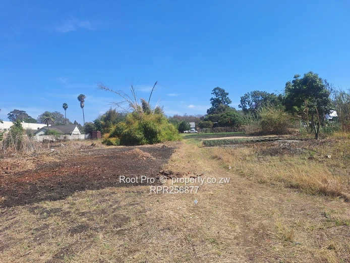 Greendale Avenue - Redevelopment Opportunity!