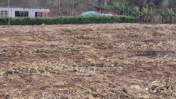Flat Cleared 2000m² Stand on Tarred Main Road