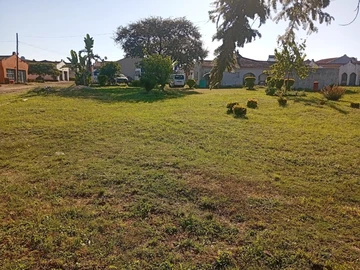 Bluff Hill - Divaris Makaharis  Cluster stands for sale
