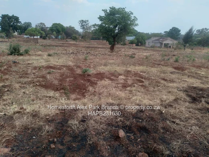 Banket Low Density Stand On Sale