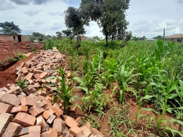 Stands & Residential Land