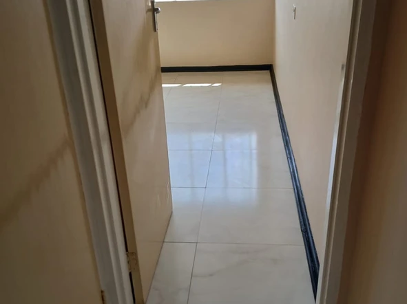 Flat & Apartment