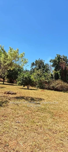 Subdivided Stand in Greystone Park!