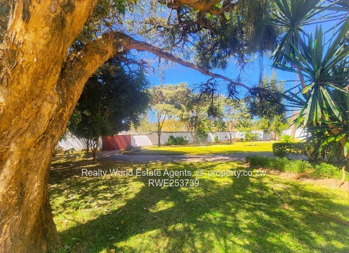 Helensvale Family Home for Sale