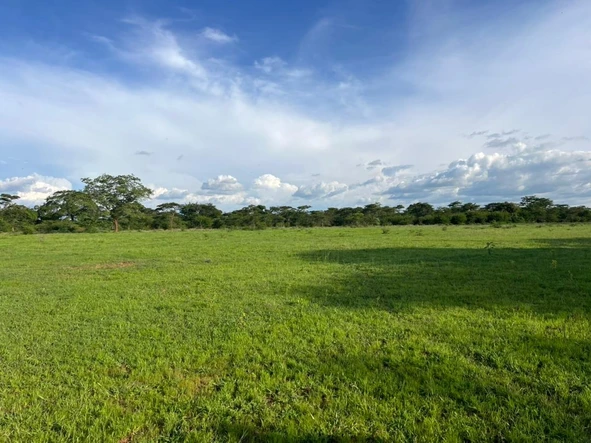 Farm & Agricultural Land