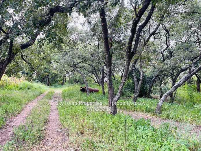 Waterfalls Industrial Property For Sale