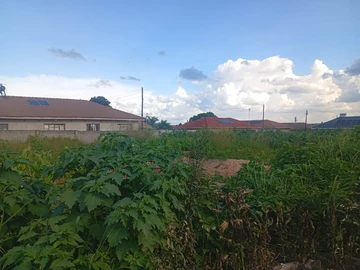 Stands & Residential Land