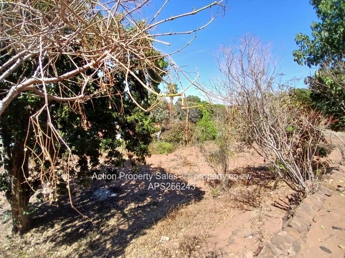 6936 Square Meters Of Land! 