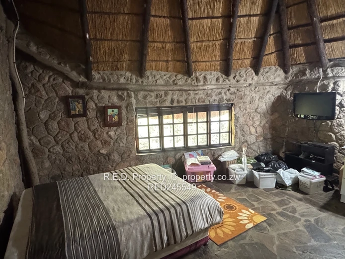 Business and Executive