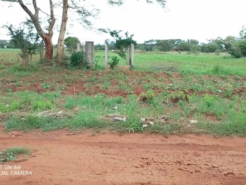 Commercial & Industrial Land