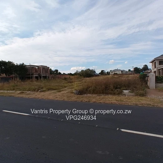 Arlington Estate Stand For Sale