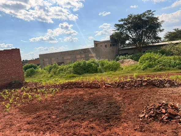 Commercial & Industrial Land