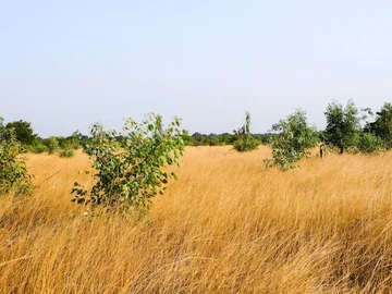 Farm & Agricultural Land