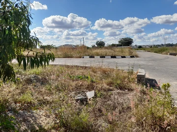 Land