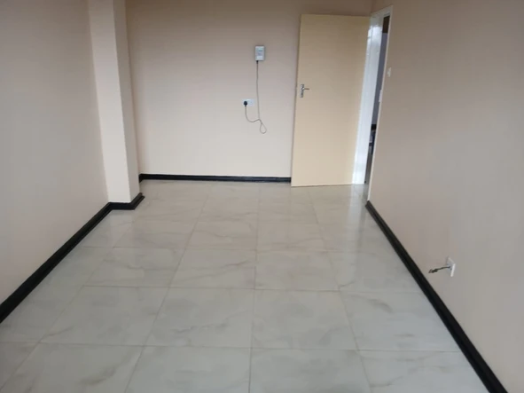 Flat & Apartment