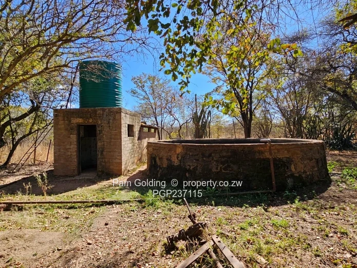 Expansive Gwanda Gem