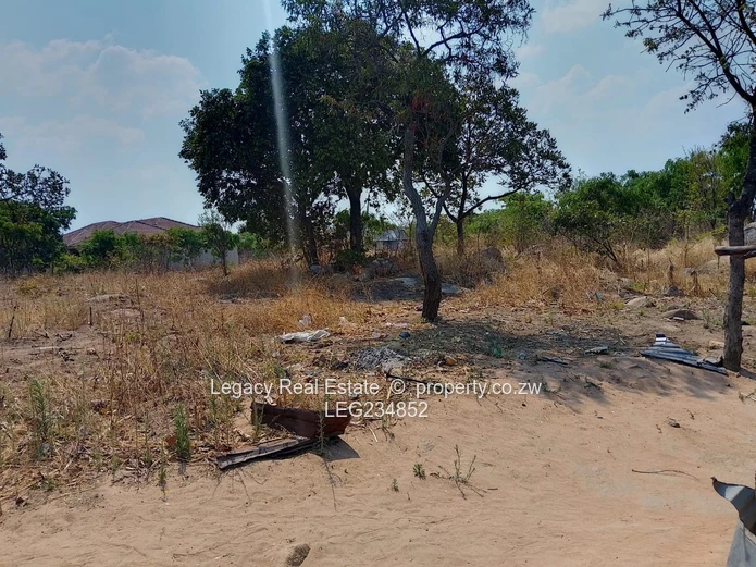 Crowhill 1300sqm Stand – Affordable Deal with Full Paperwork!