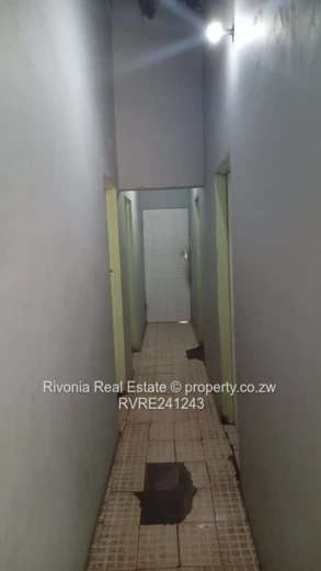 Investment opportunity 