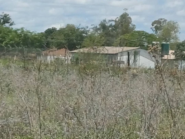 Commercial & Industrial Land