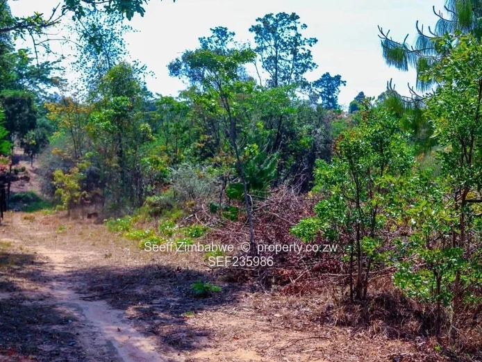 Unlock your holiday home in Nyanga