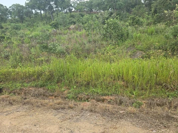 Farm & Agricultural Land
