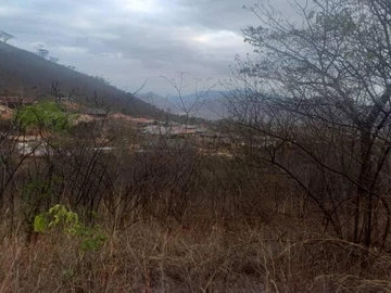 Farm & Agricultural Land